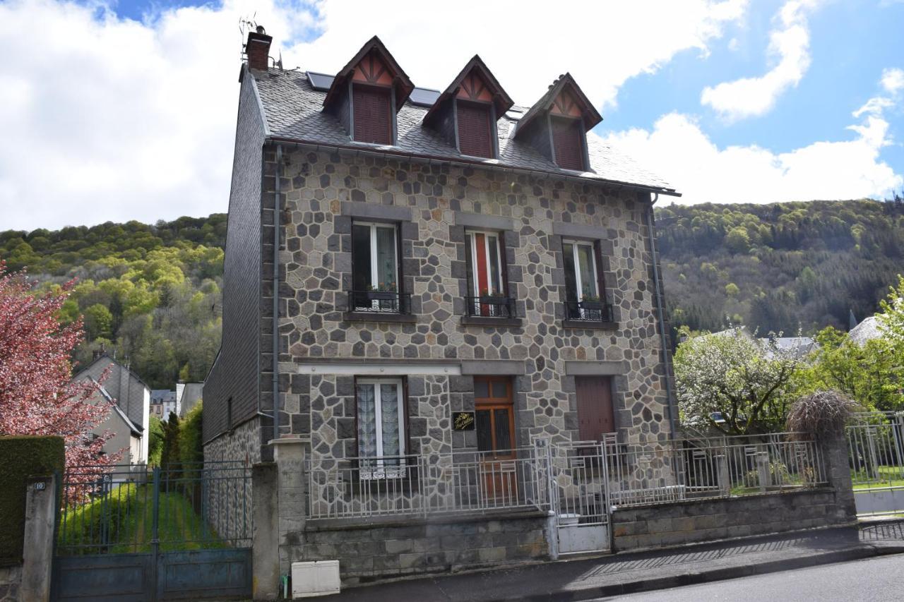 Petit Duplex De Charme Sous Les Toits Du Mont-Dore المظهر الخارجي الصورة